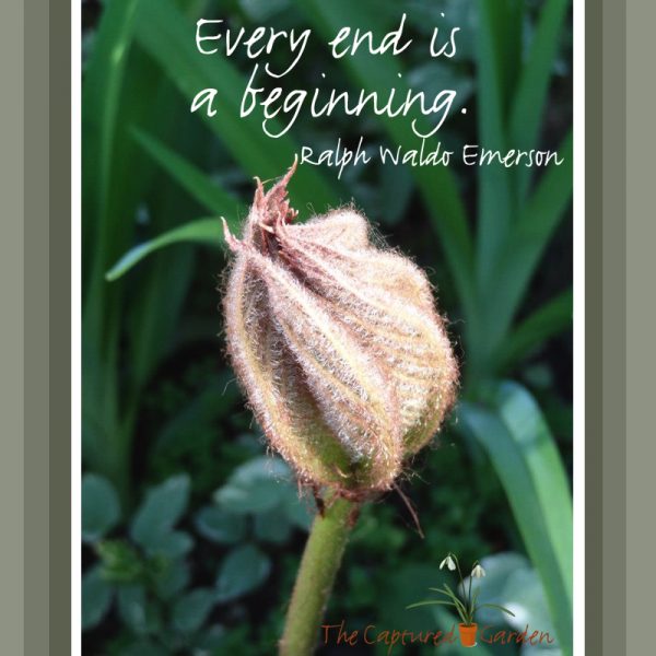 every-end-is-a-new-beginning-emerson-garden-quote