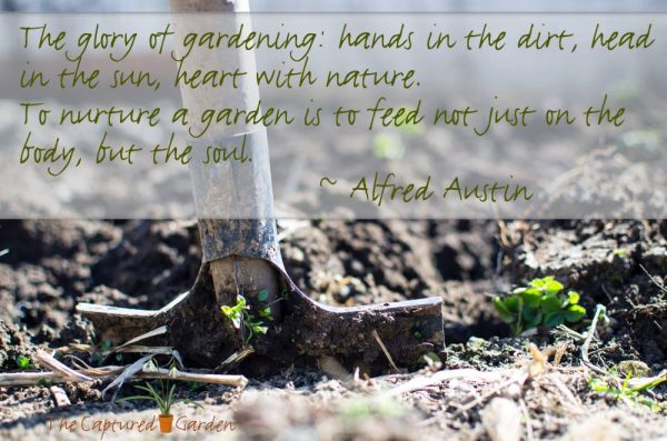 glory of gardening - quote