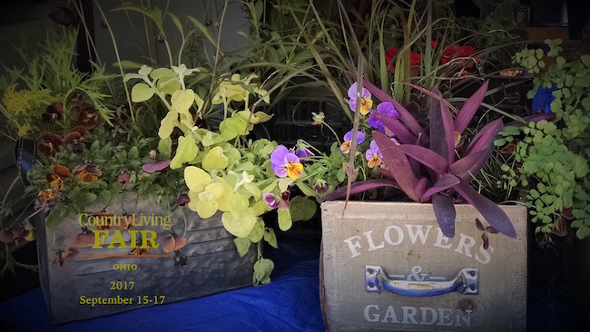 professional-container-garden-presentation-country-living-fair-ohio