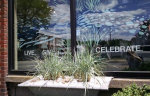 windowbox-11