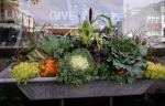 windowbox-12