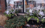 windowbox-13