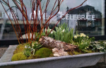 windowbox-8