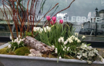 windowbox-9
