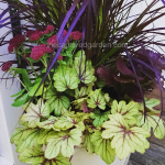 fall-container-foliage-emphasis