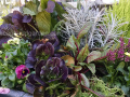 fall-container-with-interesting-foliage
