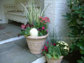 fall-container-with-sedum-and-pansies