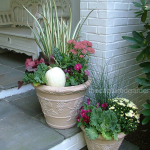fall-container-with-sedum-and-pansies