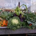 Fall container sedum cabbage millet pansies galvanized metal