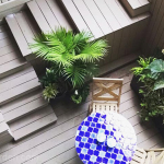 basement-apartment-patio-foliage-texture-greens