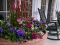 commercial-planter-spring-pansy-tulip-pink-purple