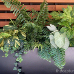dramatic-foliage-planter-ferns-caladium-variegated-ginger