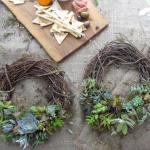 Succulent Wreath-Making Workshop