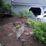 IMG_20200611_125205869