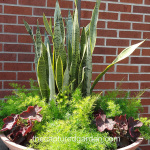 057-watermarked