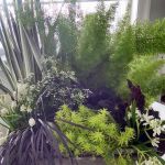 Philadelphia-Flower-Show-2017-container-garden-competition-c