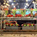 philadelphia-flower-show-2017-1-c