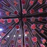philadelphia-flower-show-2017-6c