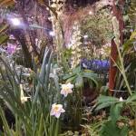 philadelphia-flower-show-2017-garden-design-c