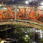 philadelphia-flower-show-2017-water-garden-c