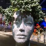 philadelphia-flower-show-container-garden-2017-succulent-head-c