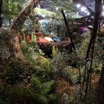 philadelphia-flower-show-garden-design-c
