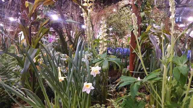 philadelphia-flower-show-2017-garden-design-c