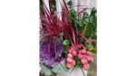 Fall-pot-with-swiss-chard