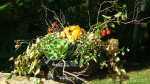 Fall-urn