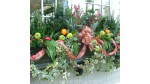 Windowbox-with-plaid-ribbon