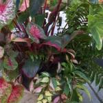 IMG_20180725_093342348