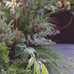 sleek-winter-planter-texture-greens-leucothoe-pine-eucalyptus