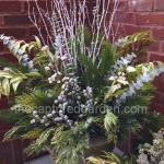 winter-container-garden-leucothoe-birch-twigs-greens