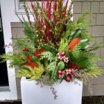 contemporary-winter-planter-dogwood-greens-rose-hips