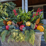 pic-for-winter-pots-section