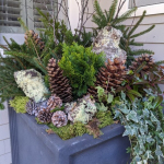 winter-planter-with-evergreens-pine-cones-birch