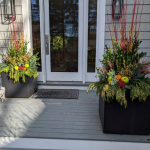 winter-planters-fruit-evergreens