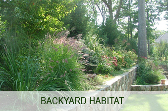 backyard-habitat-image