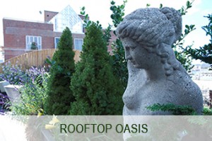 rooftop-oasis-image