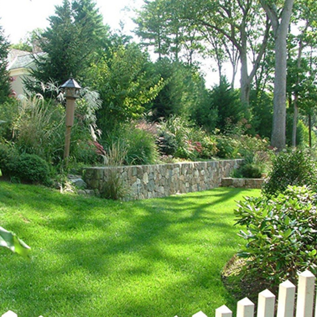 Backyard Habitat The Captured GardenThe Captured Garden