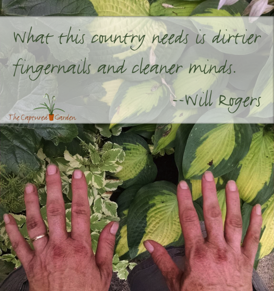 garden-quote-dirtier-fingers-cleaner-mind-rogers