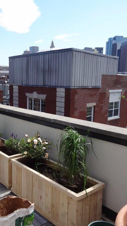 Boston Rooftop Garden - filling the planter boxes