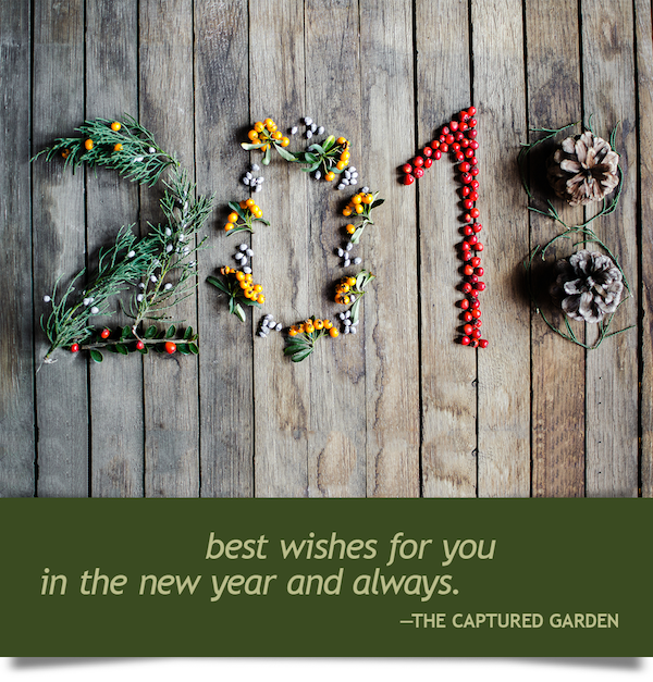 happy new year from the garden