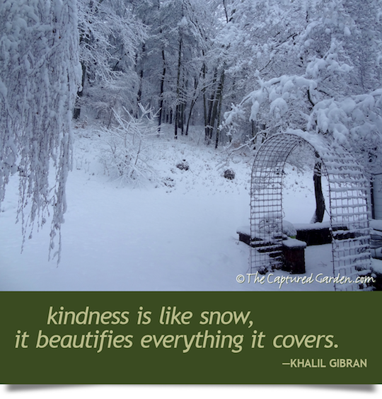 snowy garden quote - kahlil gibran