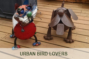 urban-bird-lovers-image